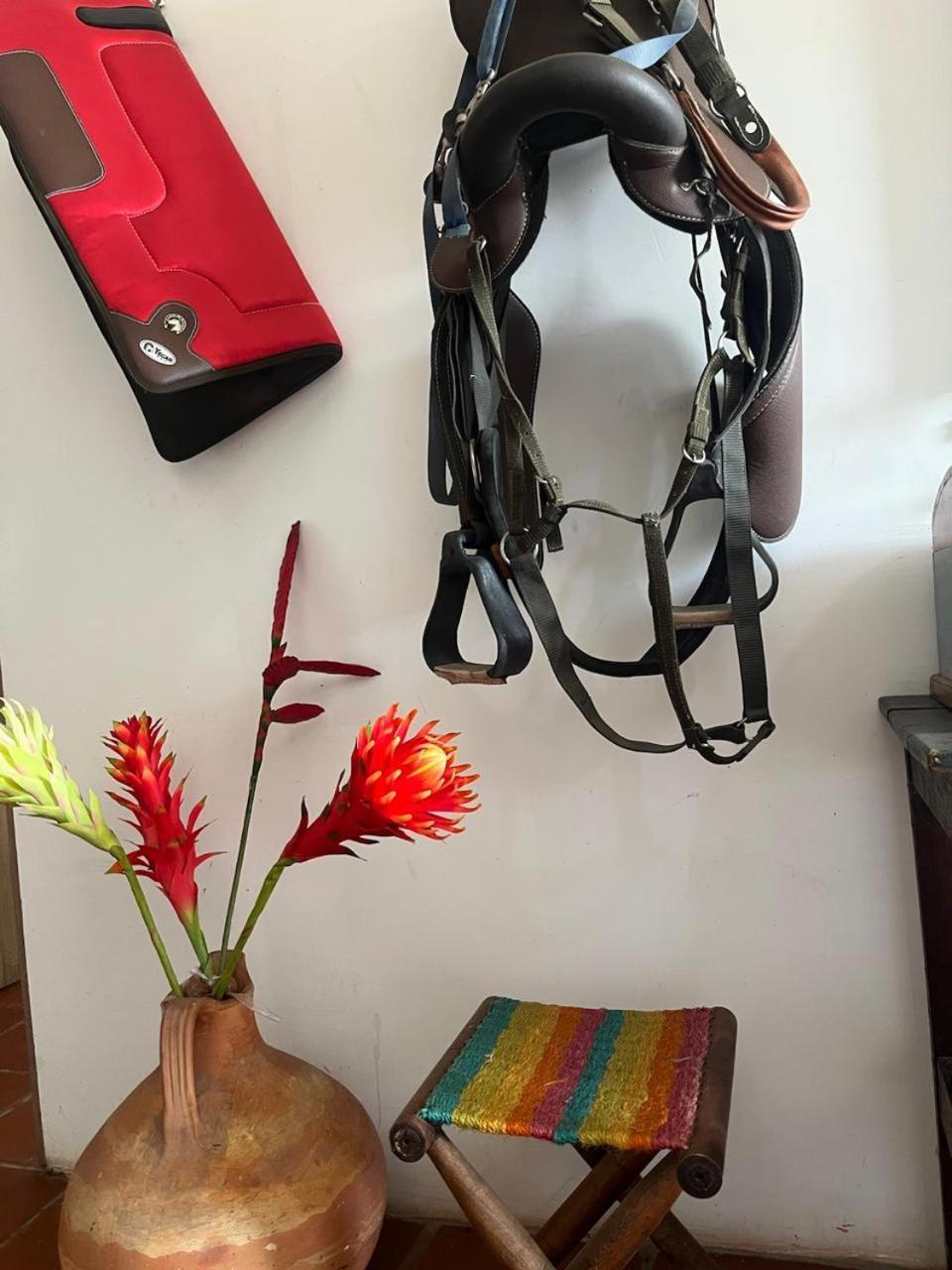 La Casona Llanera Bed & Breakfast San Martin  Dış mekan fotoğraf